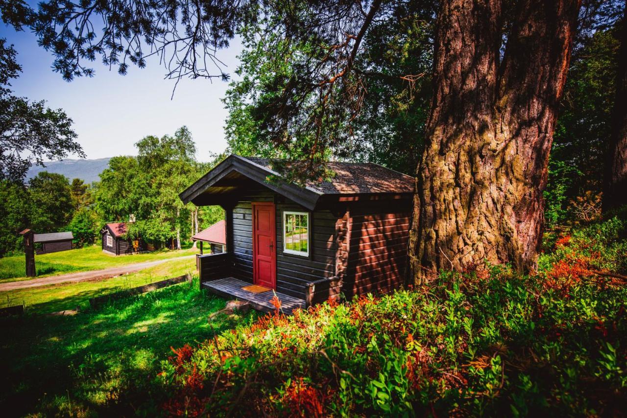 Ljoshaugen Camping Dombås Exteriér fotografie