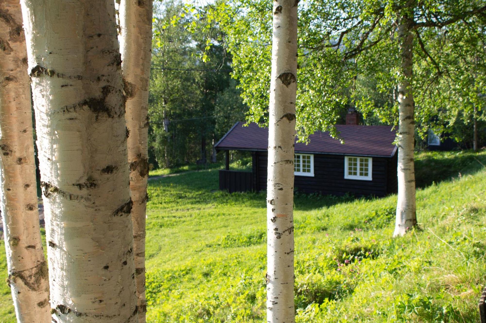 Ljoshaugen Camping Dombås Exteriér fotografie